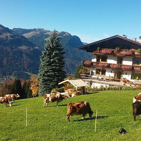 Appartamento Hof Hamoos Kitzbühel Esterno foto