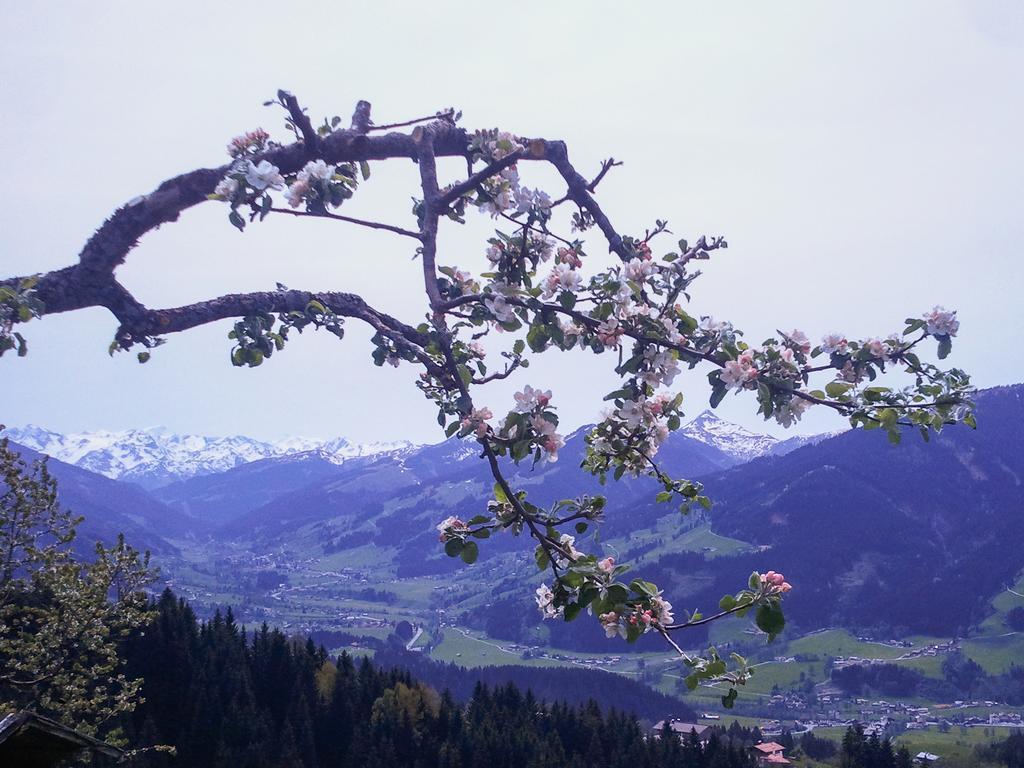 Appartamento Hof Hamoos Kitzbühel Esterno foto