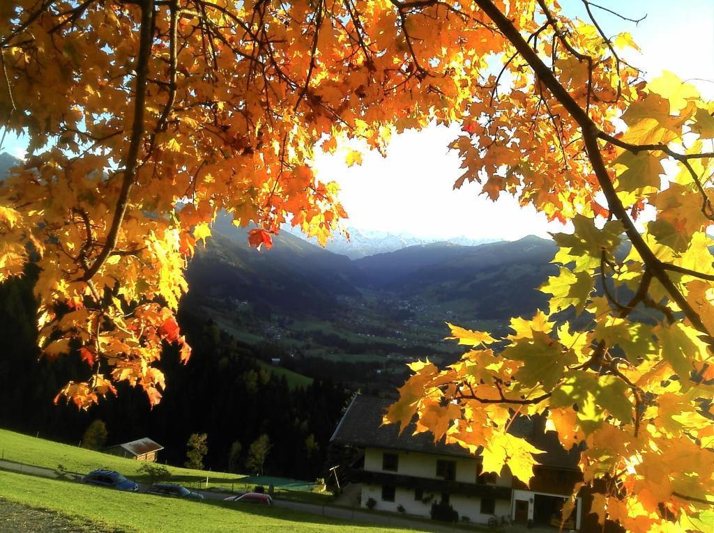 Appartamento Hof Hamoos Kitzbühel Esterno foto