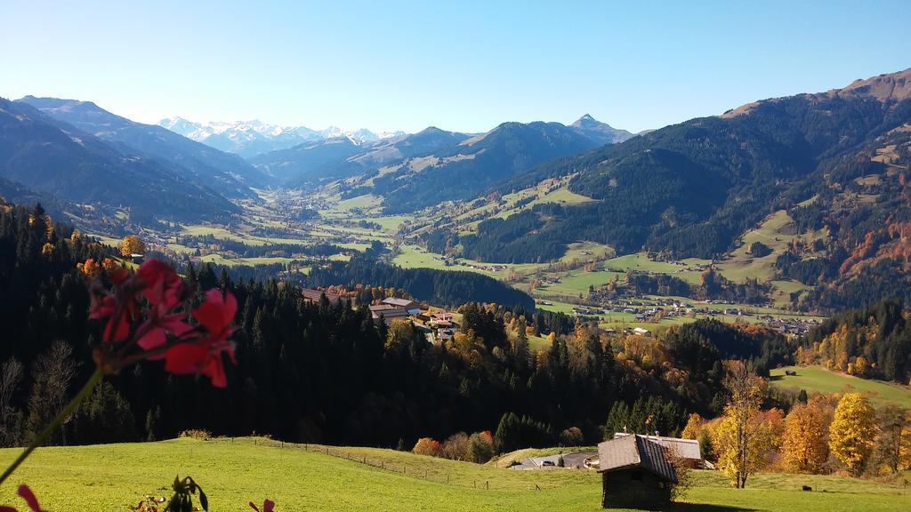 Appartamento Hof Hamoos Kitzbühel Esterno foto